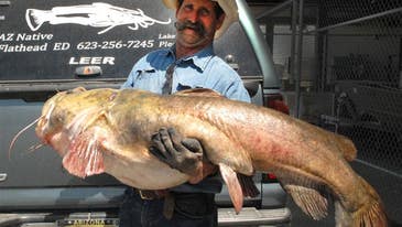 Man Lands Heaviest Fish Ever Caught in Arizona