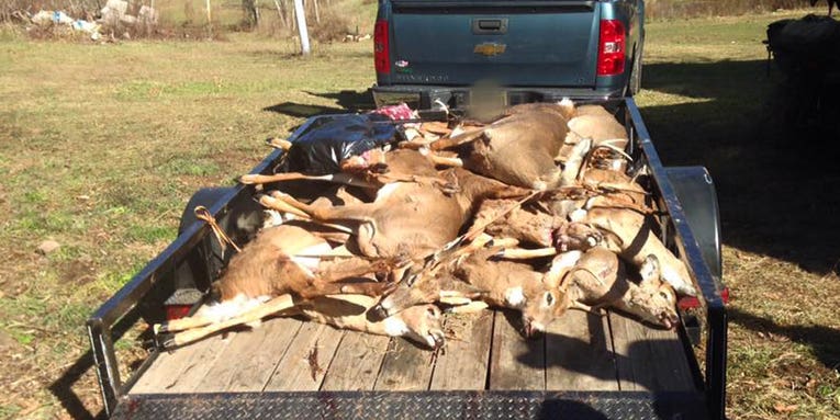 Eighteen Untagged Deer Discovered in Major West Virginia Poaching Bust