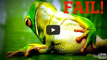 How To Never Miss A Bass On A Frog Again