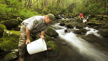 Blue Ribbon Panel: How to Increase Funds for State Fish & Wildlife Agencies