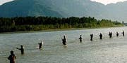 Fishing: The Most Dangerous Sport in British Columbia’s Fraser Valley