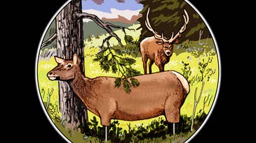 Three Deadly Decoy Tactics to Pull Elk Into Bow Range