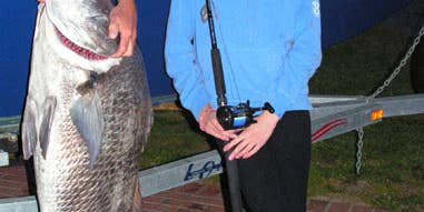 More Pending World Records from the International Game Fish Association