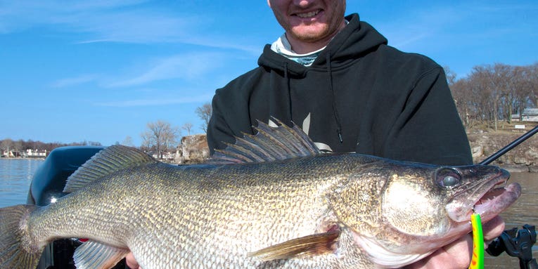 The 20 Best Walleye Lures for Spring