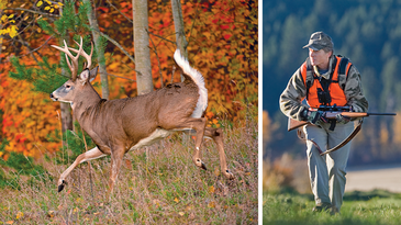 Deer Hunting Tips: How To Tag a Buck After You Bust Him