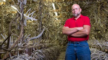 Shed Madness: The Antler Man and His Cathedral of Bone