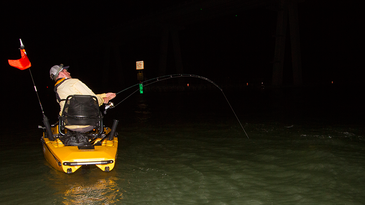 Bucket List Fish: Tarpon By Kayak On The Florida Gulf Coast