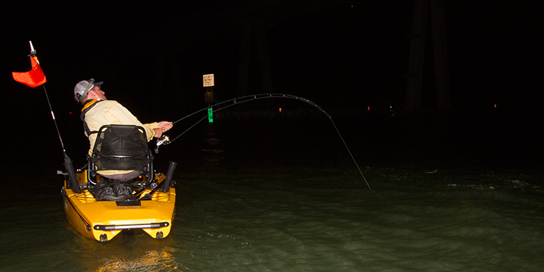 Bucket List Fish: Tarpon By Kayak On The Florida Gulf Coast