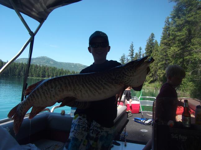 I tried catching this fish for three weeks as it broke me off three times. I came back a week later with spider wire and the irresistible smelt hooked the monster and i was able to barely fit it in my net as it bent, finally I landed the 42" 27lb tiger muskie. Jayden Smith