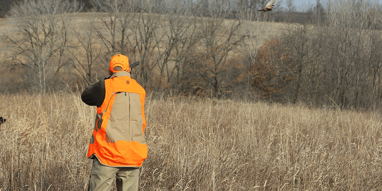 Rushing the Shot: Why Hunters Miss Pheasants