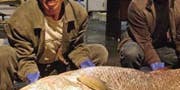 Chinese Fisherman Sells Highly Endangered Species for $473K