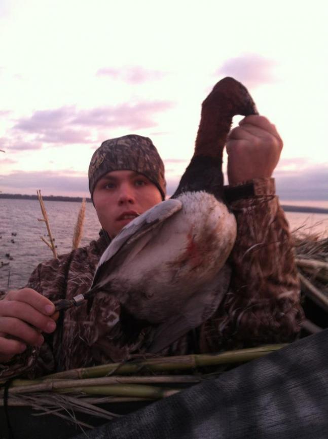 Shot this bad boy on Reelfoot lake, got him and a couple buffies. Turns out he was banded in Smiley, Saskatchewan in 2003.