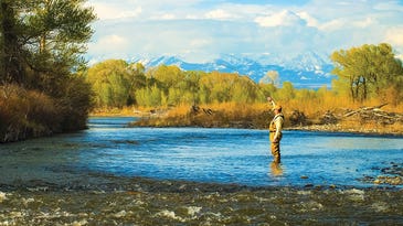 How to Catch Big Early-Summer Trout