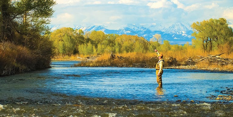 How to Catch Big Early-Summer Trout