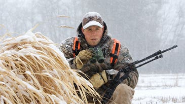 Winter Whitetail Tactic: Keep Your Eyes on Multiple Feeding Areas