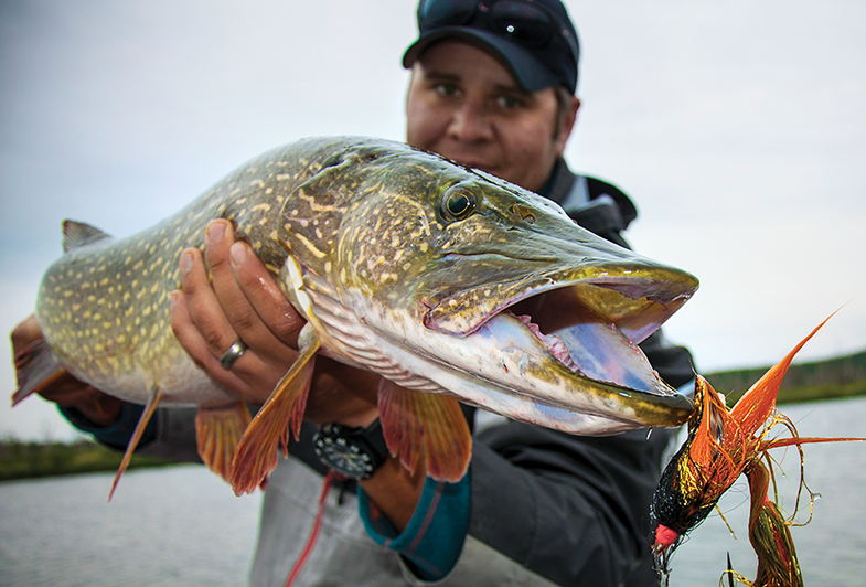 Pike Fishing in Saskatchewan: 8 Critical Lessons for Catching Big