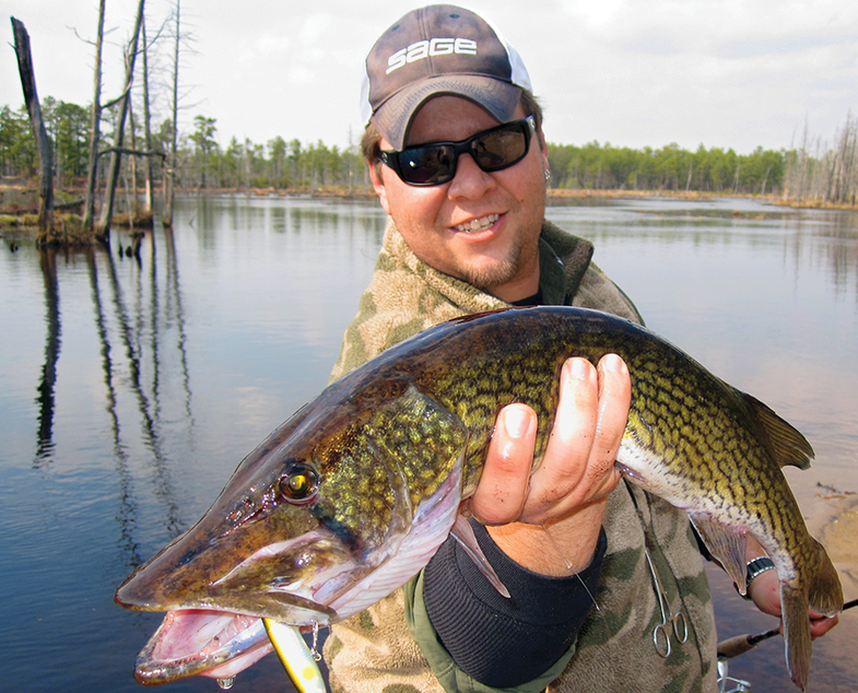 How to Catch Monster Chain Pickerel