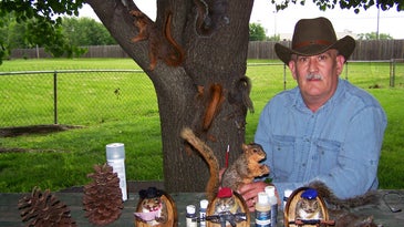 A Mount For Every Taste: The Extremes of Squirrel Taxidermy