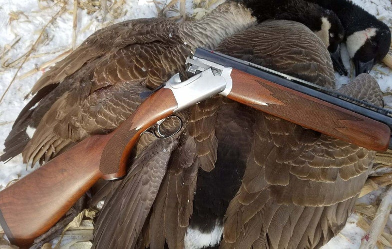Ruger Red Label, canada geese, waterfowl hunting
