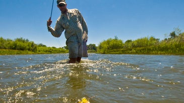 How to Choose Leaders and Tippets when Fly Fishing