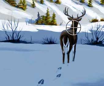 Ten Toughest Shots on Deer