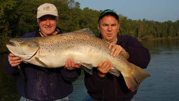 Potential World Record Brown Trout Caught in Michigan’s Big Manistee River