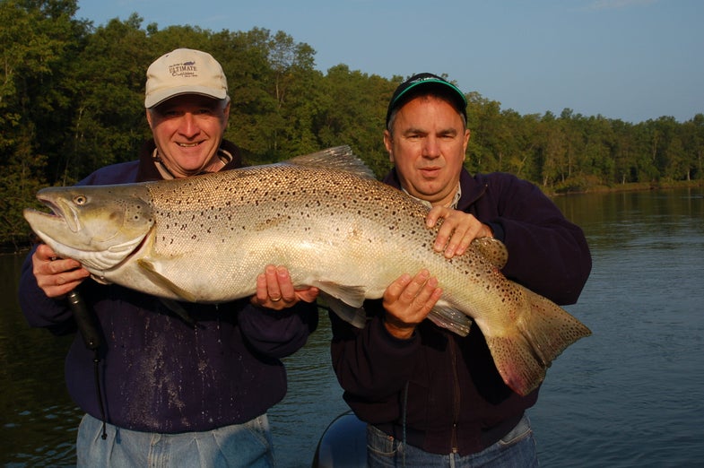 On Wednesday, Sept. 9, at 8:30 a.m. angler Tom Healy of Rockford, Michigan (at left in photo), landed what is now certified as the Michigan state record and the pending all-tackle world record brown trout. Click through the slides at left to read the full story