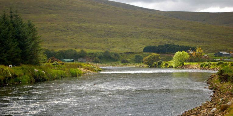 Fly Fishing the Emerald Isle: Salmon, Trout and Guinness on the Rivers and Lochs of Ireland