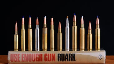 Best Rifle Cartridges for Elk Hunting of 2024