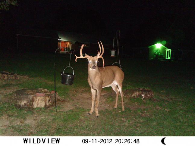 I knew when this buck started growing is was gonna be different. This is how it ended up.