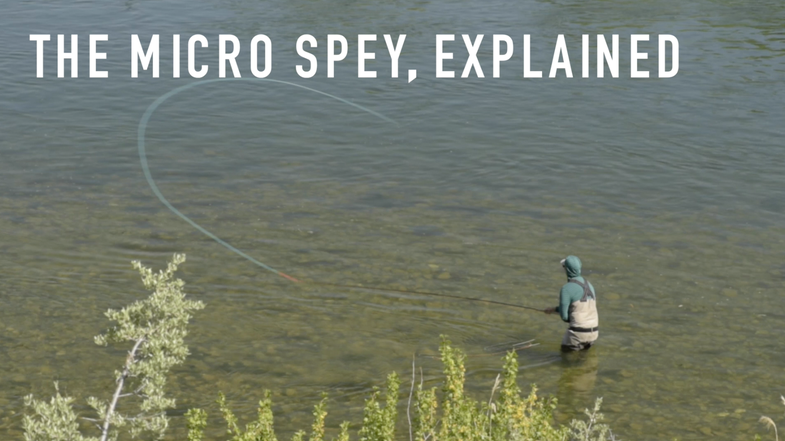 <em>Micro speys are lightweight, two-handed fly rods, ideal when paired with light leaders and small flies.</em>