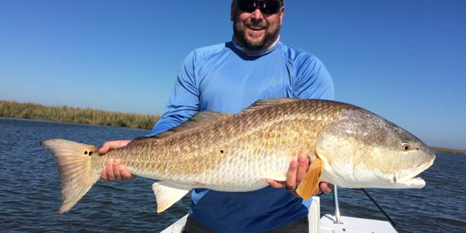 Who Dat?  Four Casts… 98 Pounds of Redfish