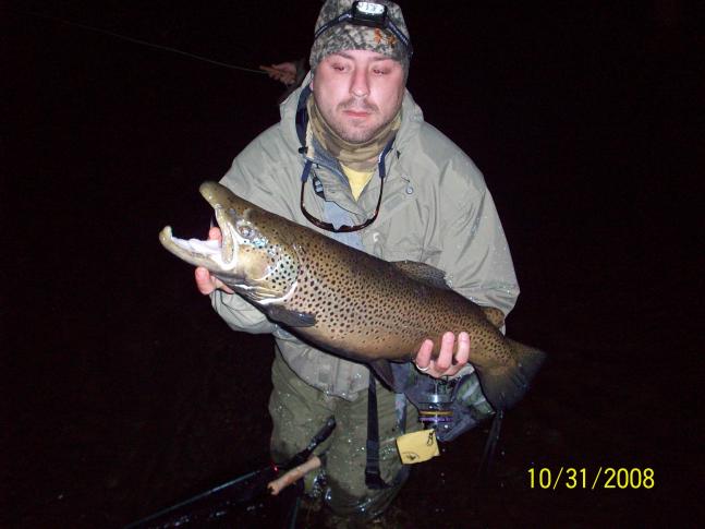 I caught this brown trout on Halloween 2008 using a purple estaz fly.