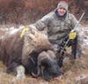 Matt Culley killed this musk ox while hunting in single-digit temperatures in Alaska this October.