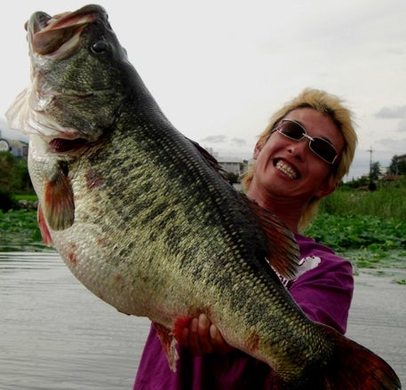 <strong>Talk about a little breaking</strong> afternoon excitement. This just in from Japan: the world-record largemouth bass may have been bested. Here are the first photos. According to some Internet chatter from California-based website <a href="http://www.calfishing.com/dc/dcboard.php?az=show_topic&forum=5&topic_id=11324&mesg_id=11324#11324">calfishing.com</a>, this bass, caught by  angler Manabu Kurita, has already been certified as weighing 22 pounds, 5 ounces. The fish was supposedly taken from Lake Biwa in Japan, the same lake where a 25-pound bass was reportedly netted earlier this year. But here's the potential hitch: George Perry's world-record bass weighed in at 22 pounds, 4 ounces. By IGFA rules, any fish under 25 pounds that is a contender for world-record status must top the current world record by two ounces. It seems all this bass may do is tie. Stay tuned to F&S.com for more info as it unfolds. If the weight of this catch is accurate, it wouldn't be the first bass to top Perry's record. Click here to see our coverage of a 25-pounder caught in California 3 years ago. For now, tell us what you think.