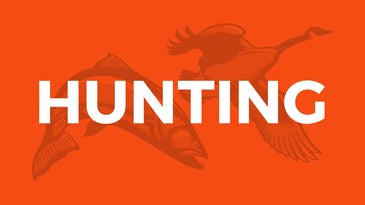 Deer Hunting Tip: Cut Your Shooting Lanes Now