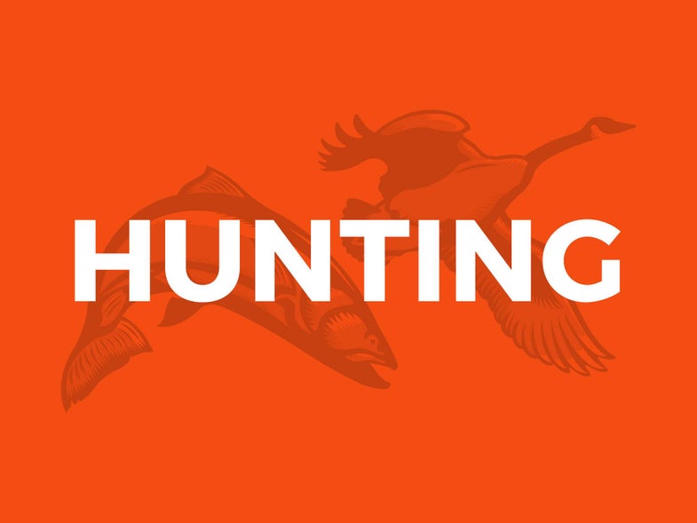 “Right to Hunt” State Constitution Amendments Called Unnecessary by Animal-Rights Groups