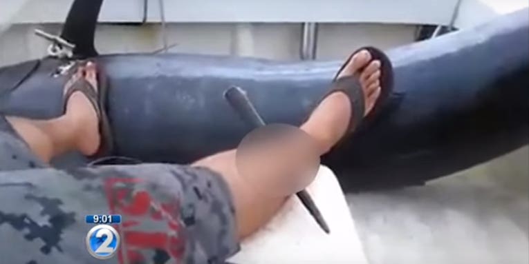 Video: Fisherman’s Leg Pierced by Marlin Spear