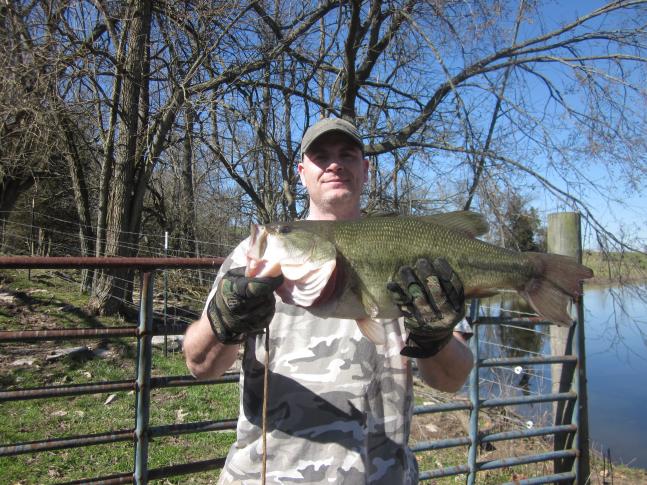 I caught this 8 lb. 4 0z. largemouth bass in a two acre pond swimming a 1/2 oz. black and blue football head jig with a black and blue super chunk craw trailer in about 3' of water at 2:00 in the afternoon. My rod was a carrot stick and I was using 30 lb. Spider Wire Stealth braid. This was my first trophy bass.
