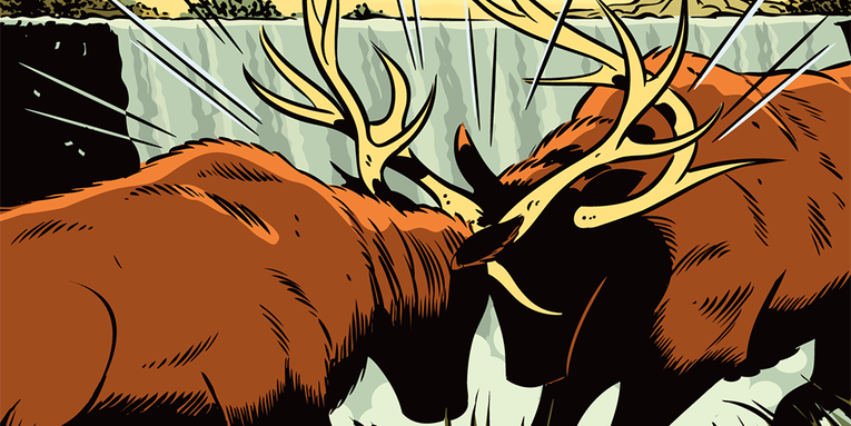 Ask Petzal: The Perfect Elk Round, Copper Bullets, and Gadgets Gone Wild