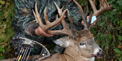 32-Point Buck From Minnesota’s Camp Ripley Could Shatter State Archery Record