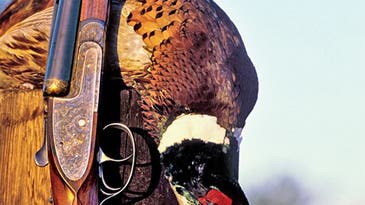 Remove the Best Meat Off Your Gamebirds in Seconds