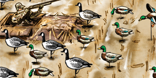 Waterfowl: 9 Tips for Hunting Mallards in Cut Corn Fields