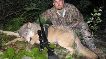 Regular F&S.com Poster Shoots Wolf In Idaho