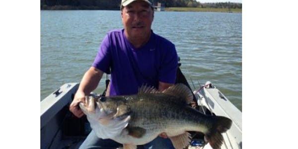Georgia Angler Catches 17-Pound Bass, Fourth Biggest in State History
