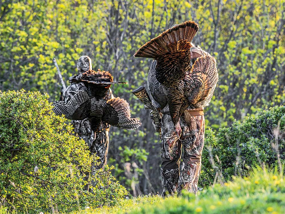 spring turkey hunting