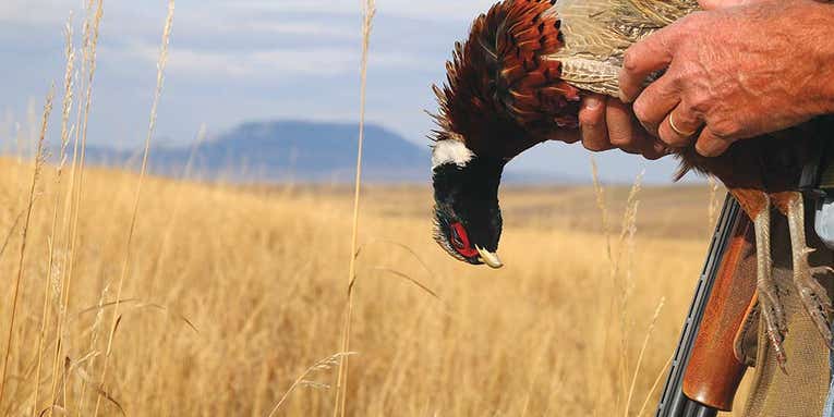 How Hunters Can Save the Conservation Reserve Program