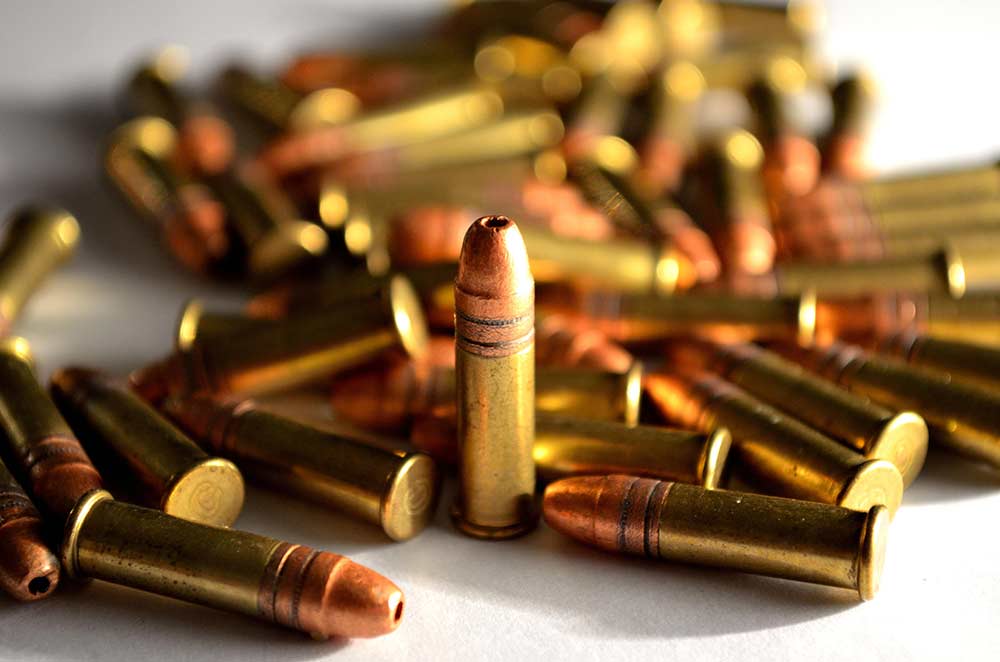 22 cartridges ammo