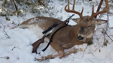 The Biggest Maine Whitetail Buck Of 2018