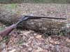 hunting rifle on a fallen log